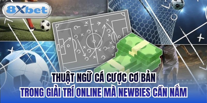 Thuật ngữ cá cược cơ bản trong giải trí online mà newbies cần nắm